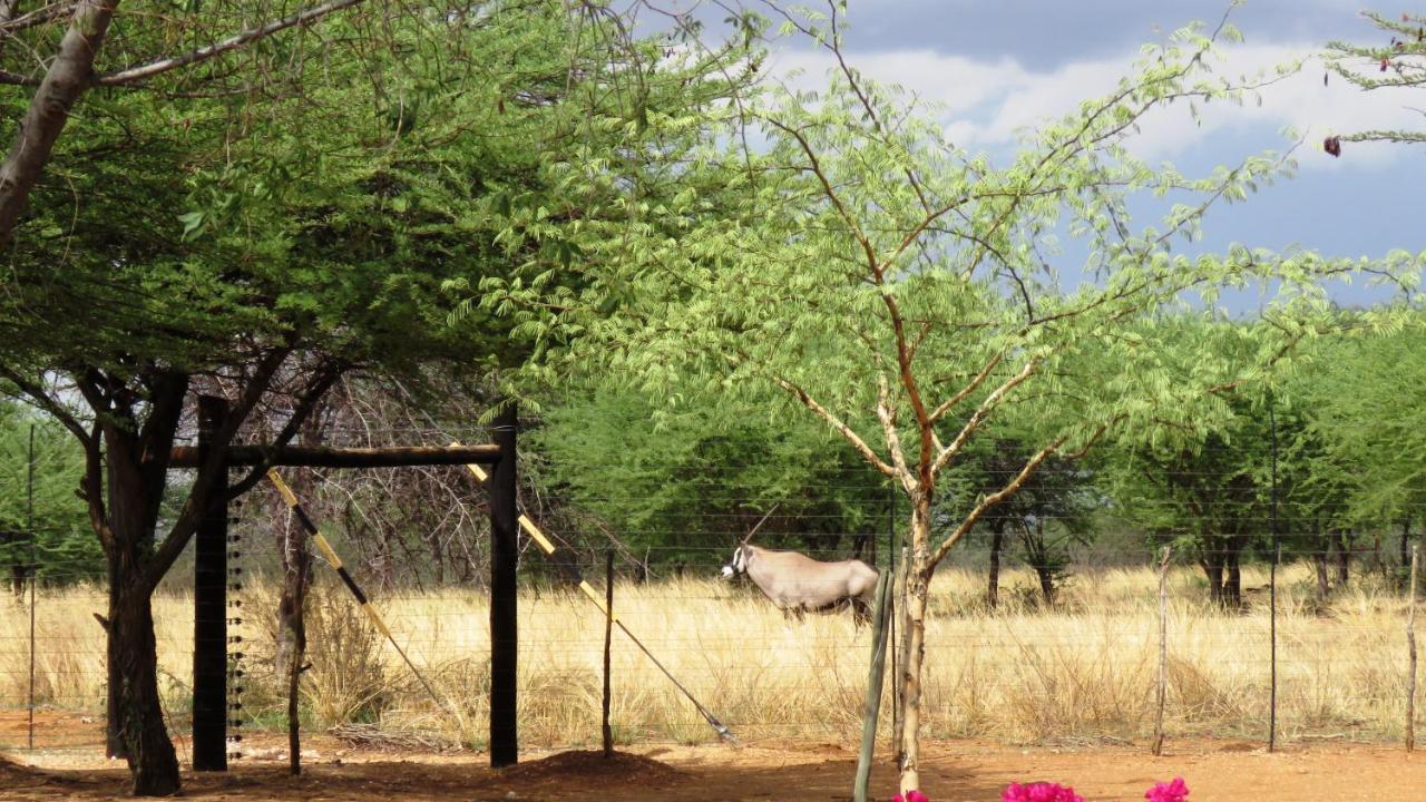 Lion'S Den Guesthouse Otjiwarongo Esterno foto