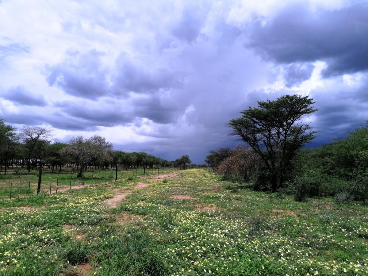 Lion'S Den Guesthouse Otjiwarongo Esterno foto