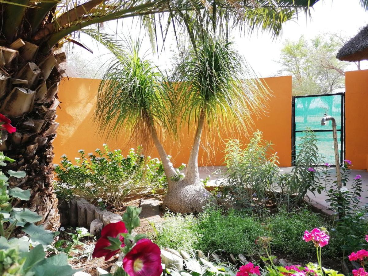 Lion'S Den Guesthouse Otjiwarongo Esterno foto