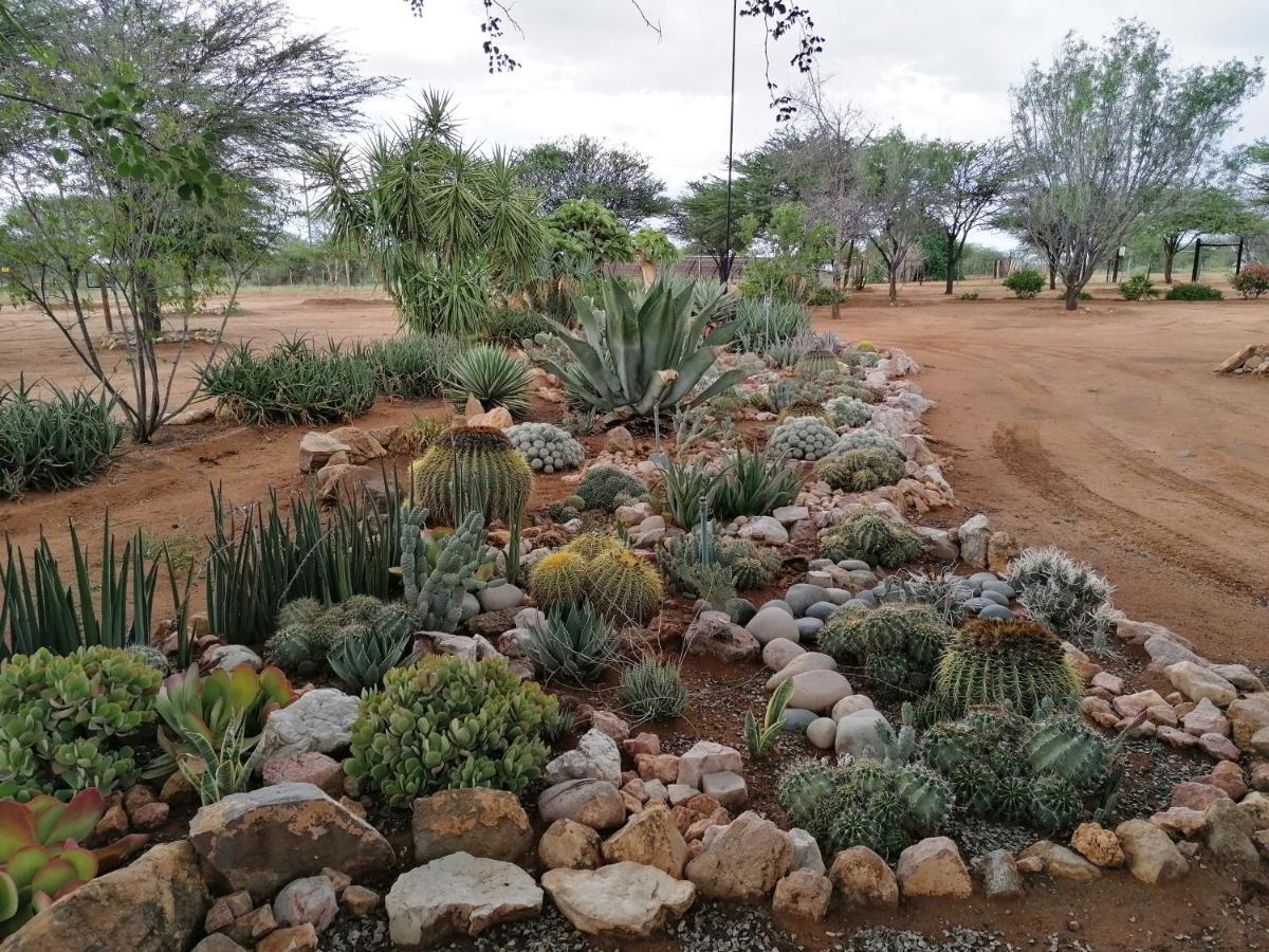 Lion'S Den Guesthouse Otjiwarongo Esterno foto