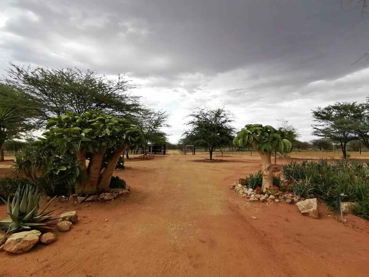 Lion'S Den Guesthouse Otjiwarongo Esterno foto