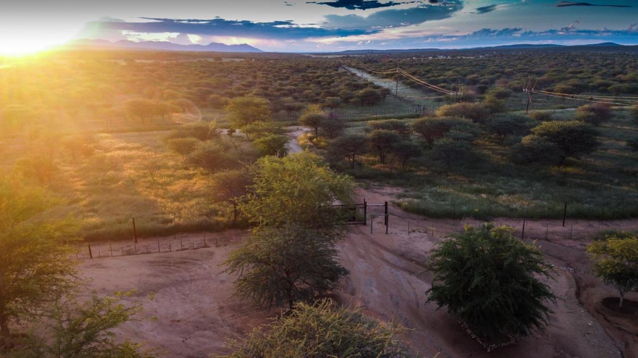 Lion'S Den Guesthouse Otjiwarongo Esterno foto