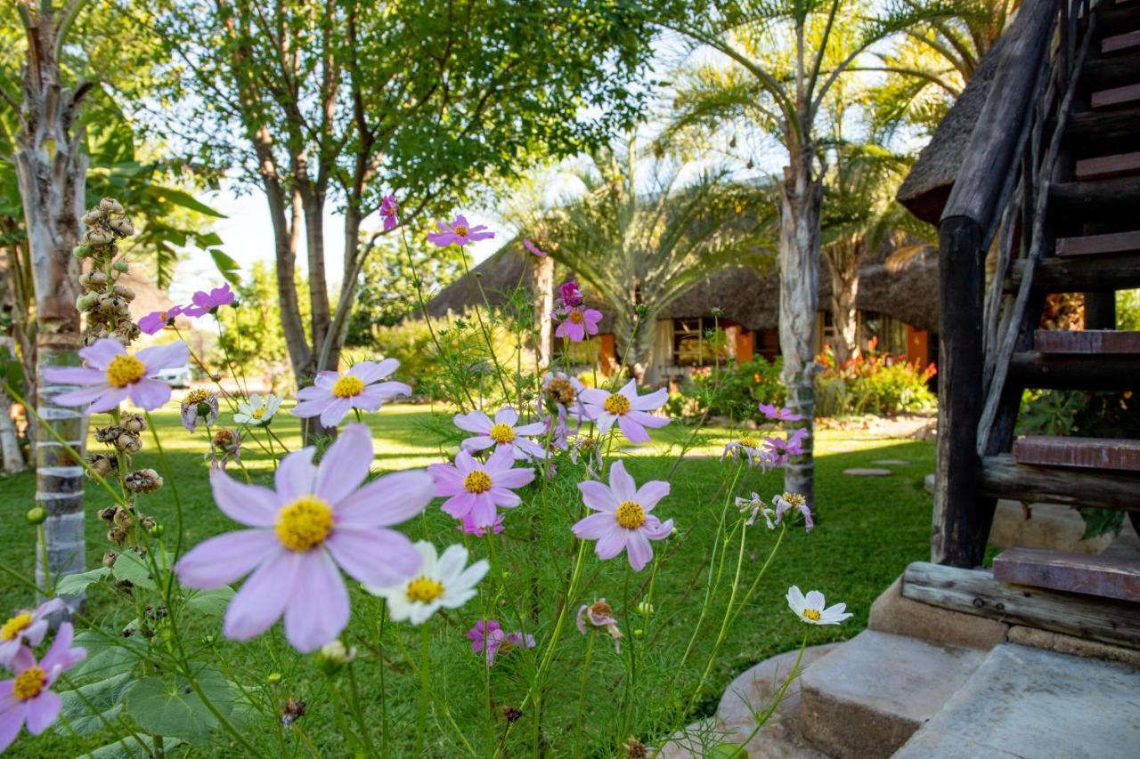Lion'S Den Guesthouse Otjiwarongo Esterno foto